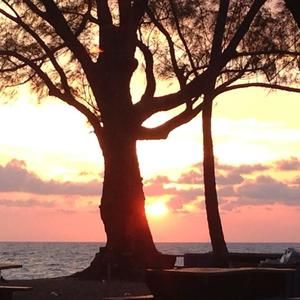 Meet your Posher, Robbi